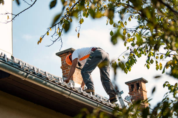 Quick and Trustworthy Emergency Roof Repair Services in Coldstream, KY