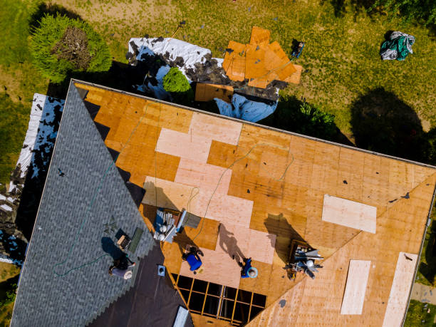 Best New Roof Installation  in Coldstream, KY